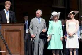 A Royal Thought Meghan Markle ‘Brainwashed’ Prince Harry, Claims Author