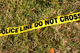 nhl reported jessi pierce