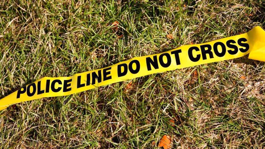 nhl reported jessi pierce