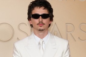 Spider-Man 4’s Role for Timothée Chalamet Possibly Revealed