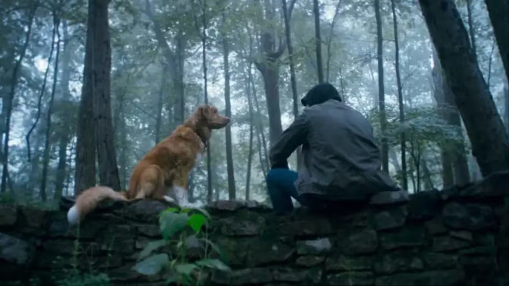 Hulu Sets Streaming Date for Horror Movie Centered on a Dog