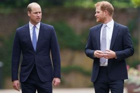 Prince Harry Reunion Is at the Bottom of Prince William's Checklist — Expert