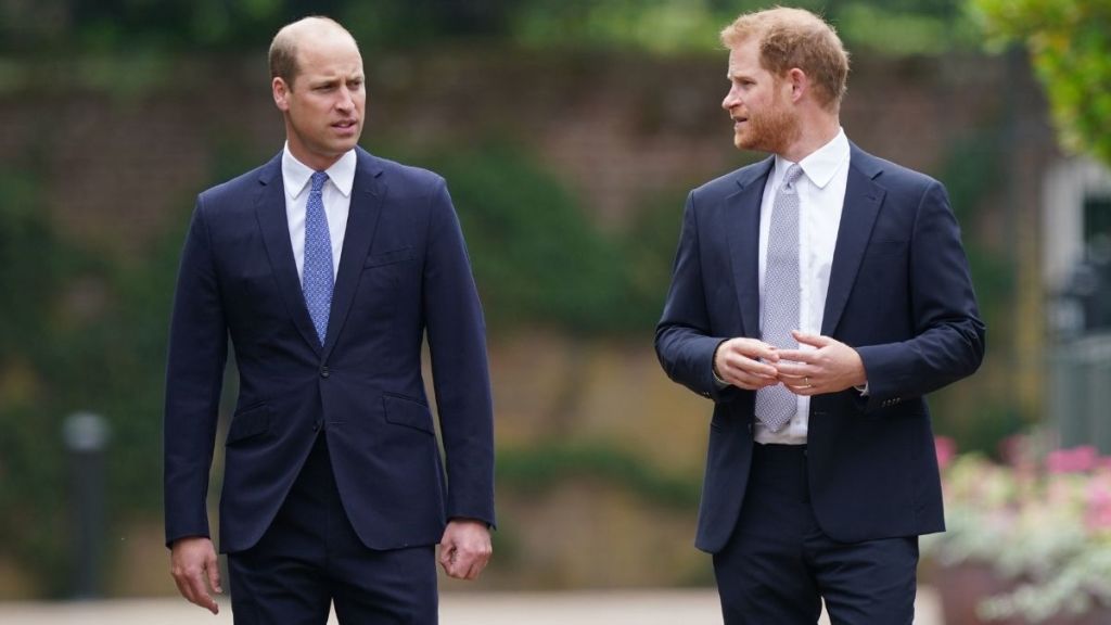 Prince Harry Reunion Is at the Bottom of Prince William's Checklist — Expert