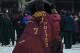 harry potter tv series