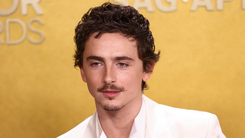 Timothée Chalamet Movie Gains Digital Streaming Popularity Amid Controversy