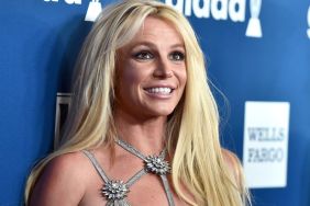 Britney Spears' Sons Avoid Taking Her Responsibility After Arrest — Source