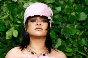 Rihanna's House Shooting Suspect's Bail Set at Over $10 Million — Report