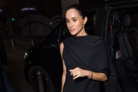 Meghan Markle's Tips for Making Tea Mocked