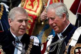 Ex-Prince Andrew Was Shockingly 'Protected by the Palace,' Says Expert