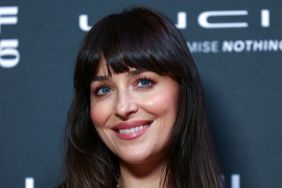 Dakota Johnson's Daring Bikini Top Look Takes Over Calvin Klein Campaign