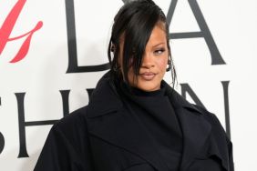 Rihanna's Alleged House Shooter Faces Possible Life in Prison — Report