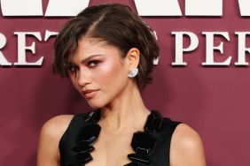Zendaya's Sheer Matieres Fecales Dress Is Frayed Beyond Imagination