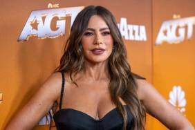 Sofia Vergara's Strapless Animal-Print Look Is Unspeakably Bold Amid Press Run