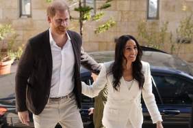 Prince Harry Takes on 'House Husband' Role as Meghan Markle Thrives — Source
