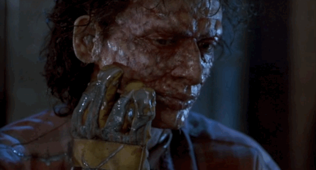 'The Fly'