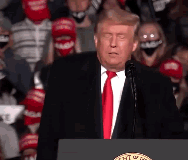 3. Attend a Trump Rally