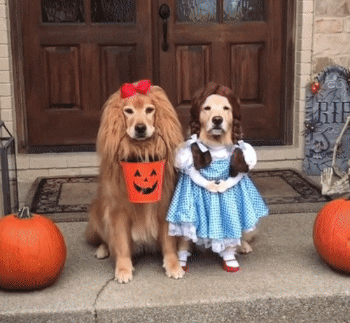 1. Traditional Trick-or-Treating 