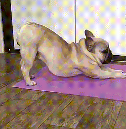 Speaking of Yoga