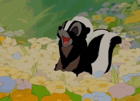 A Sexy Skunk