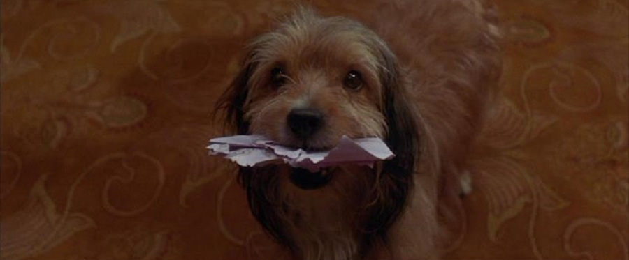 'Benji' (1974)