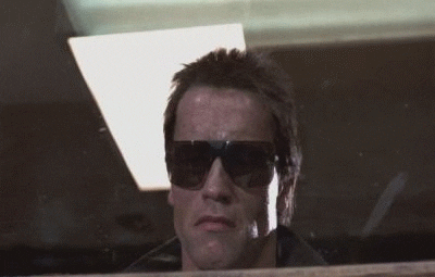 'The Terminator'