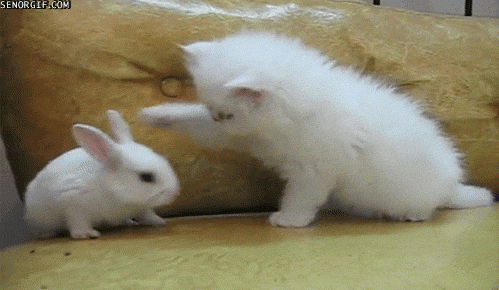 Hyperspeed Easter Bunny