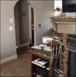 No Running In The House