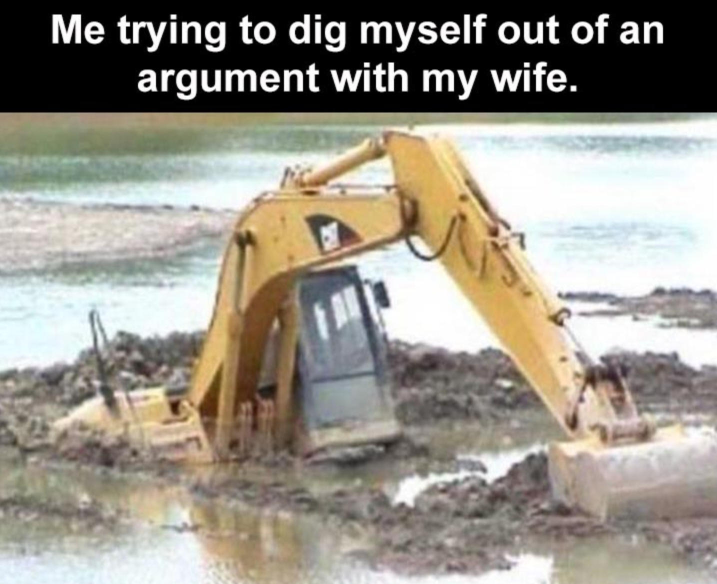 Funny Photos 01-08-2021 #6
