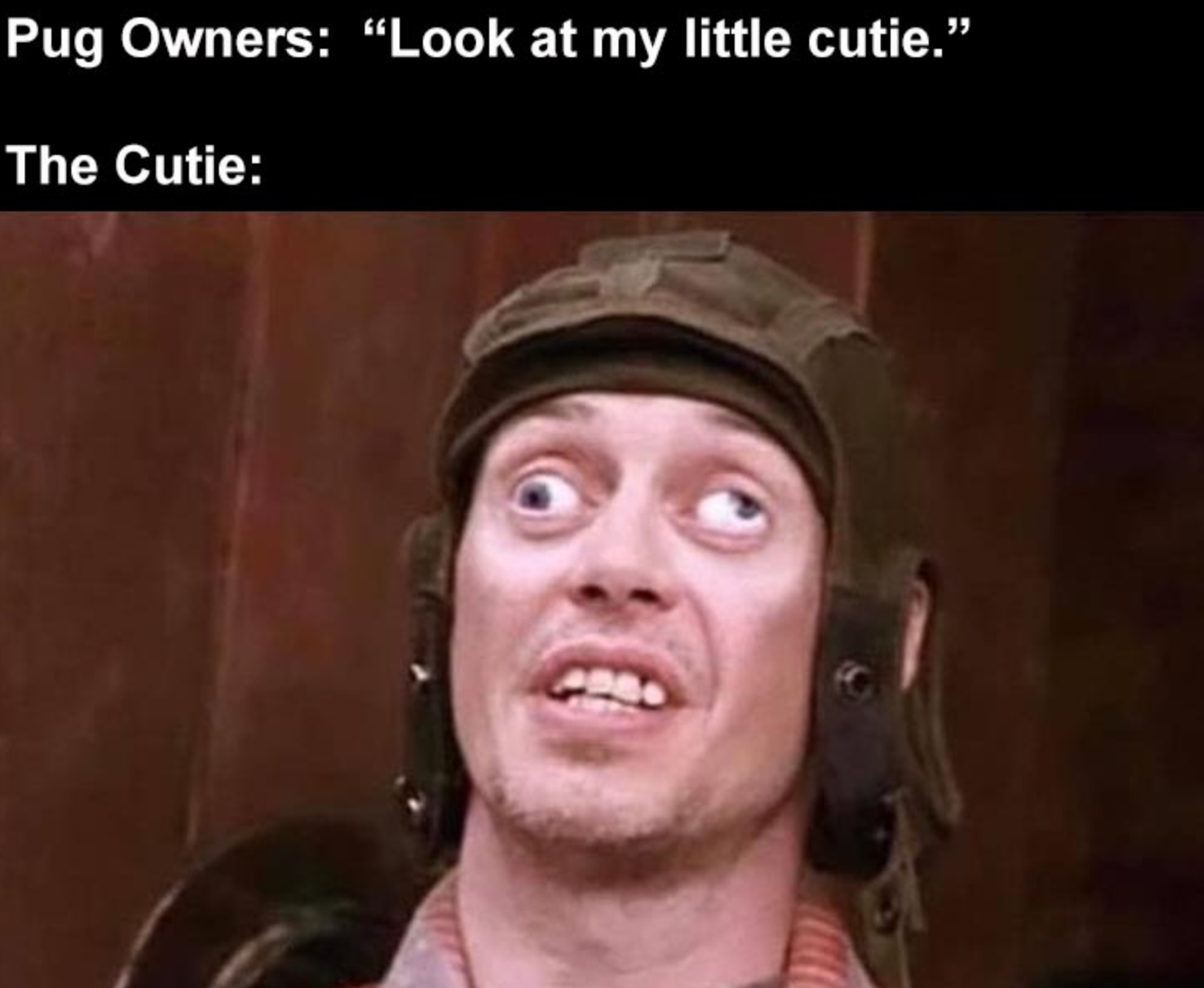 Funny Photos 01-08-2021 #8