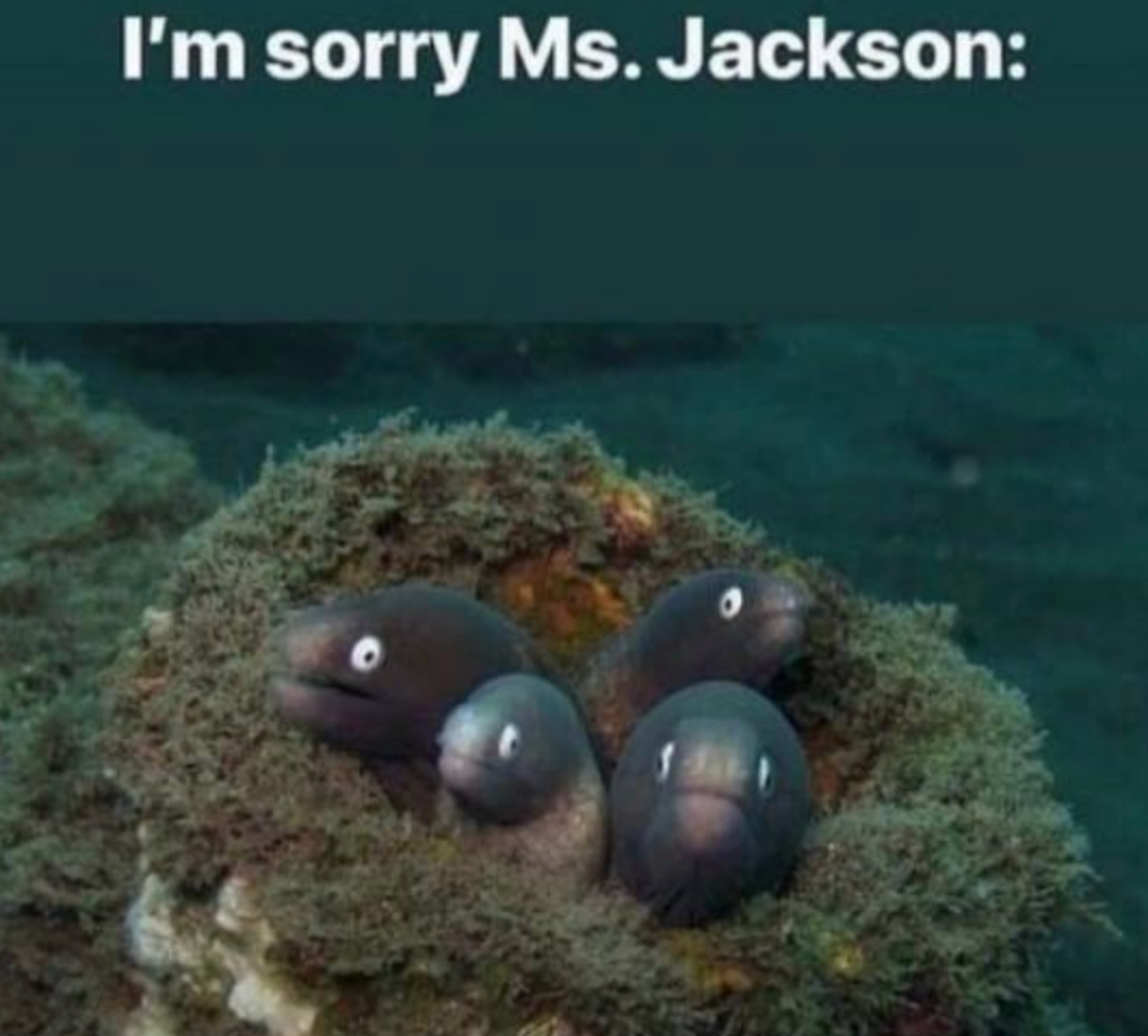 Funny Photos 01-14-2020 #7