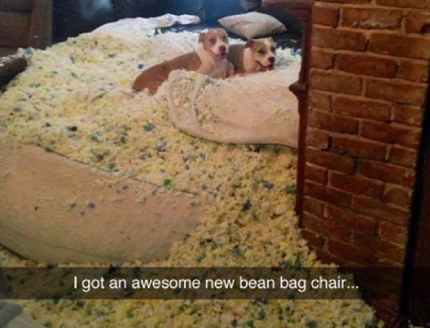 Funny Photos 01-21-2021 #18