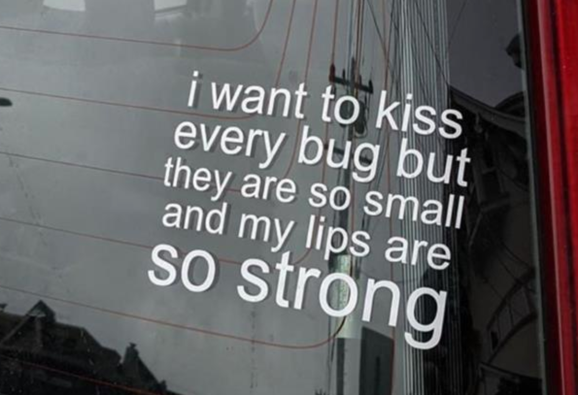 Funny Photos 02-09-2022 #4