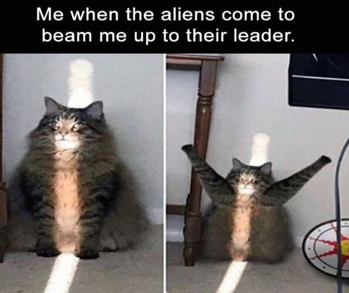 Funny Photos 02-10-2021 #11