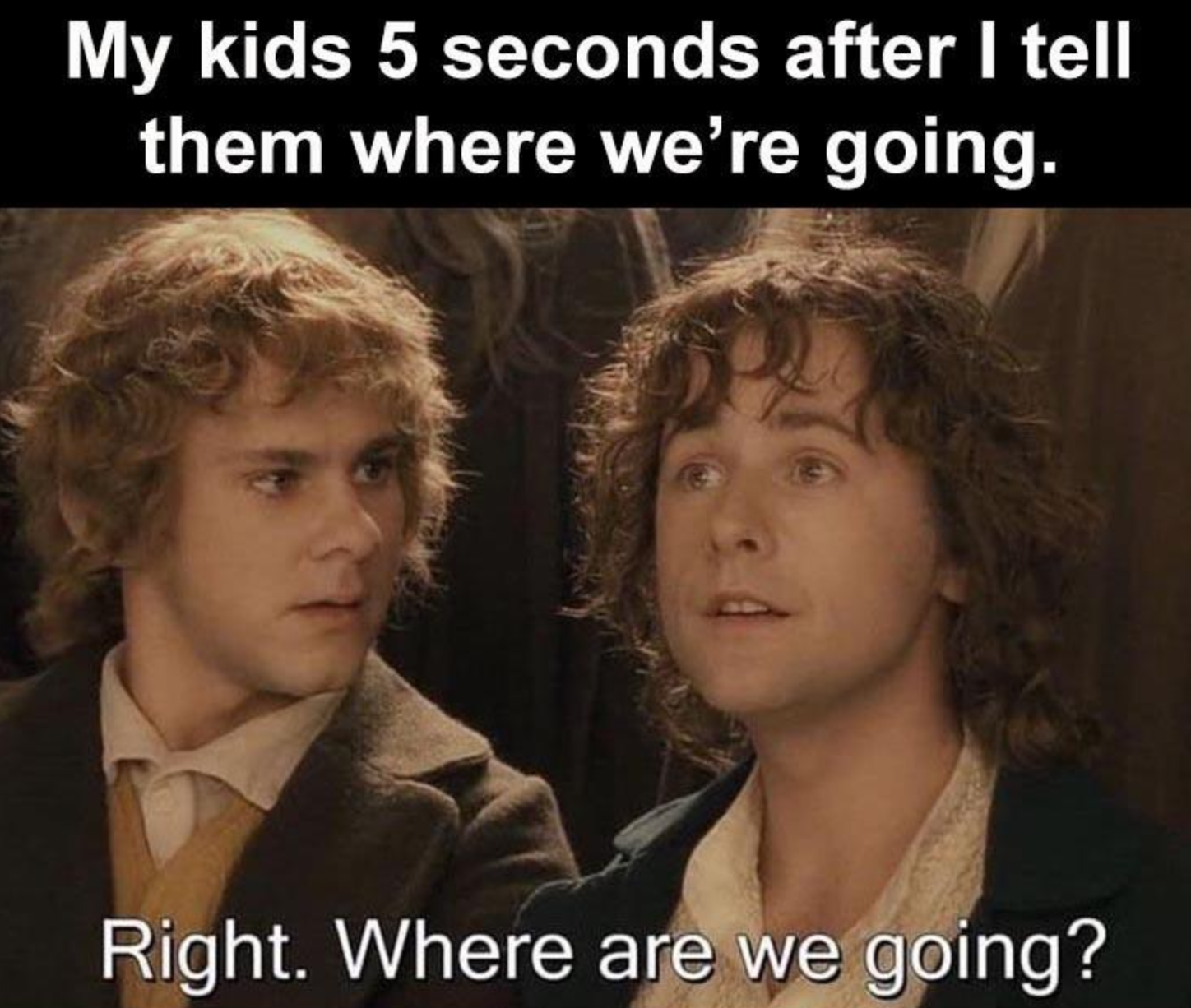 Funny Photos 02-11-2021 #7