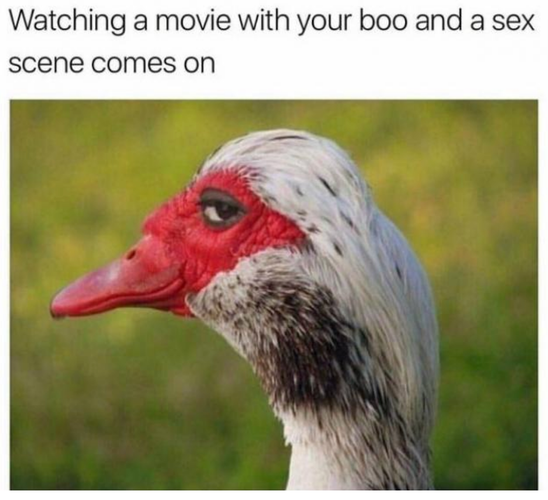Funny Photos 02-20-2020 #17