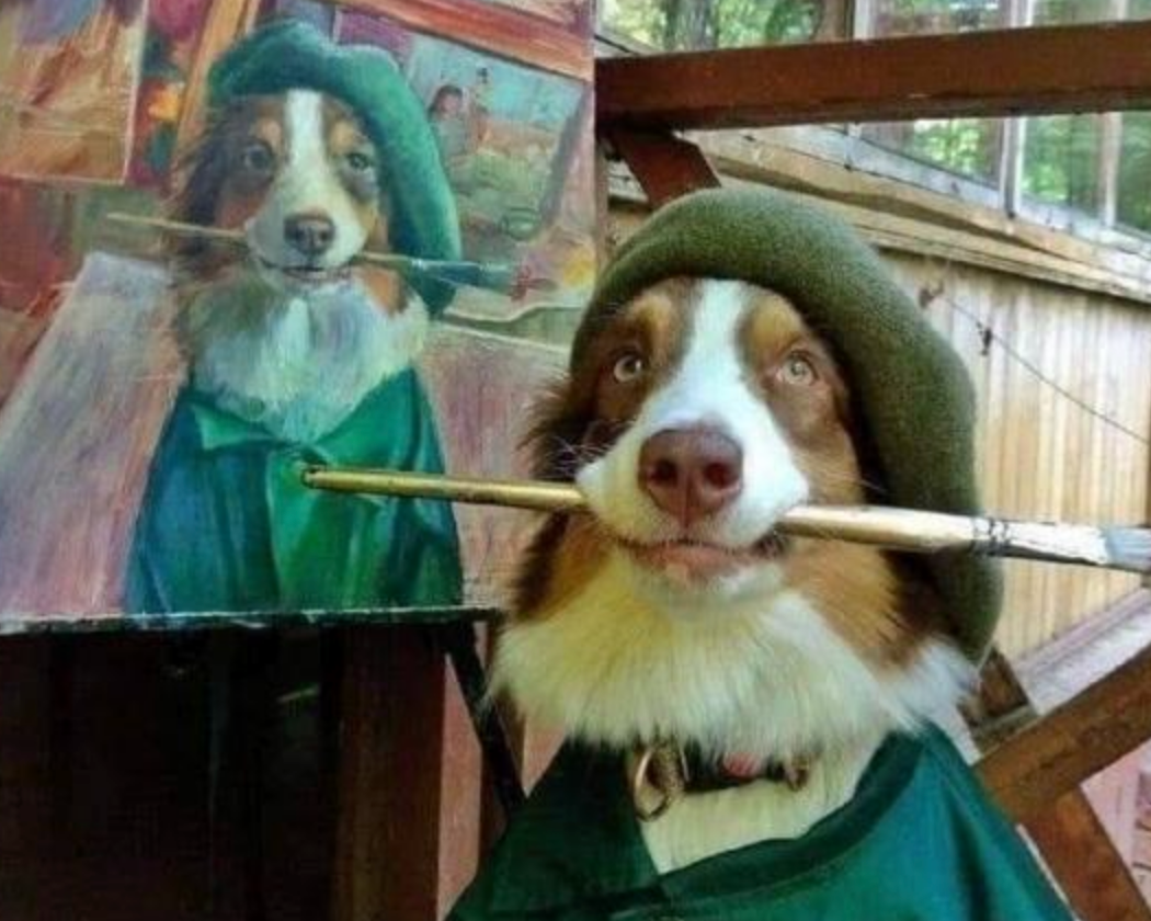 Funny Photos 02-25-2020 #18