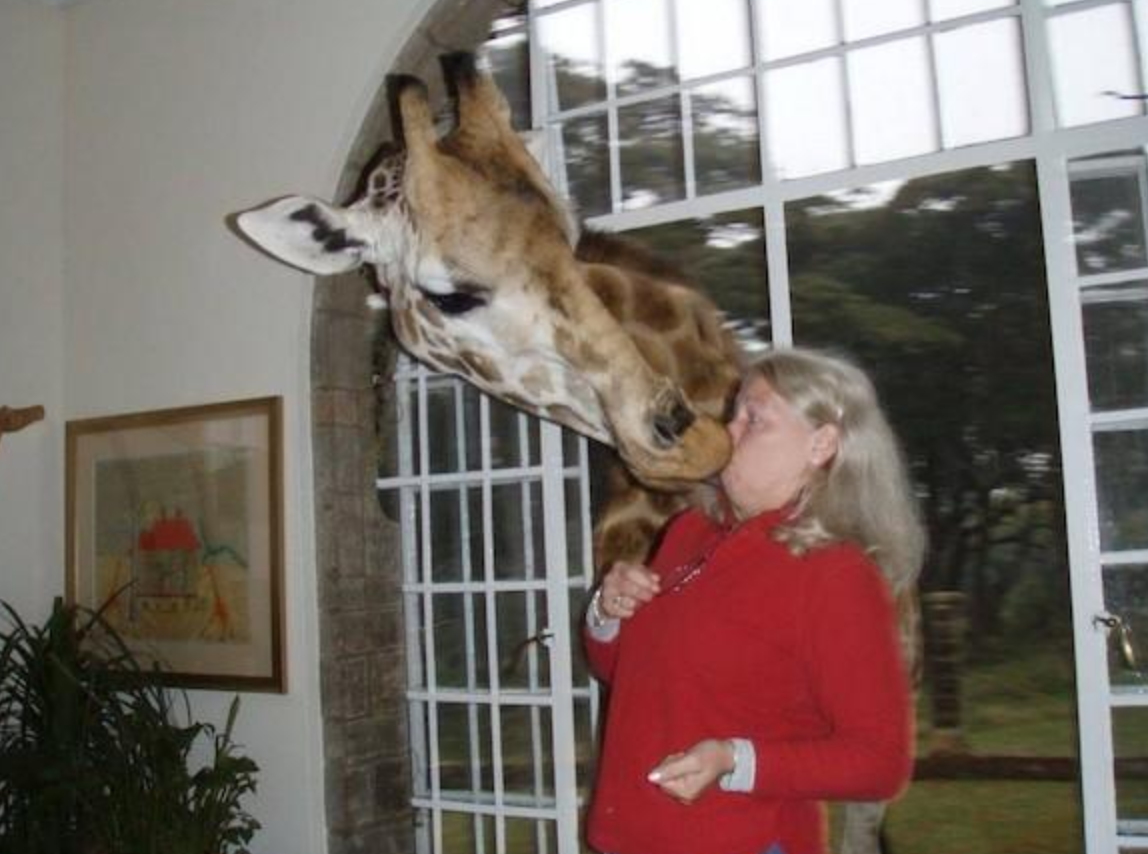 Funny Photos 03-01-2021 #2