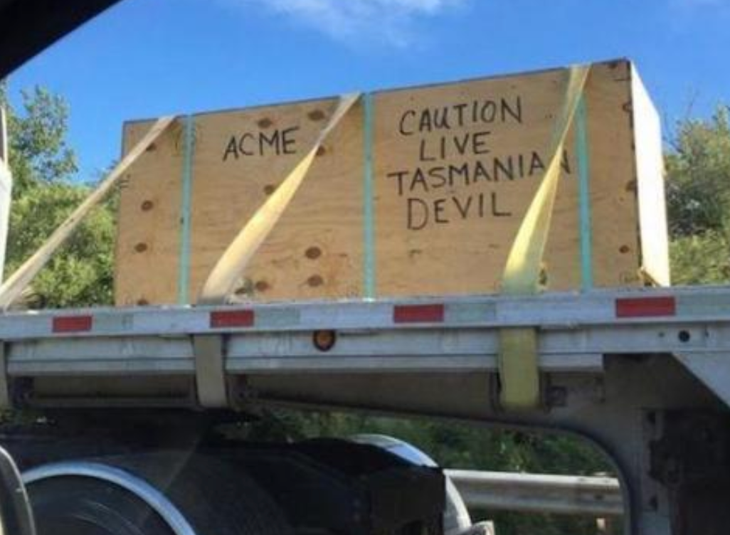 Funny Photos 03-07-2022 #16