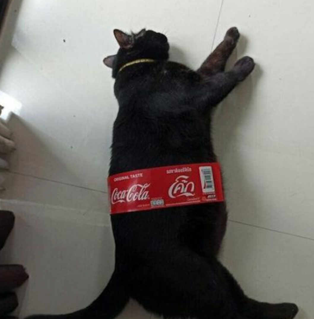 Funny Photos 03-21-2022 #3