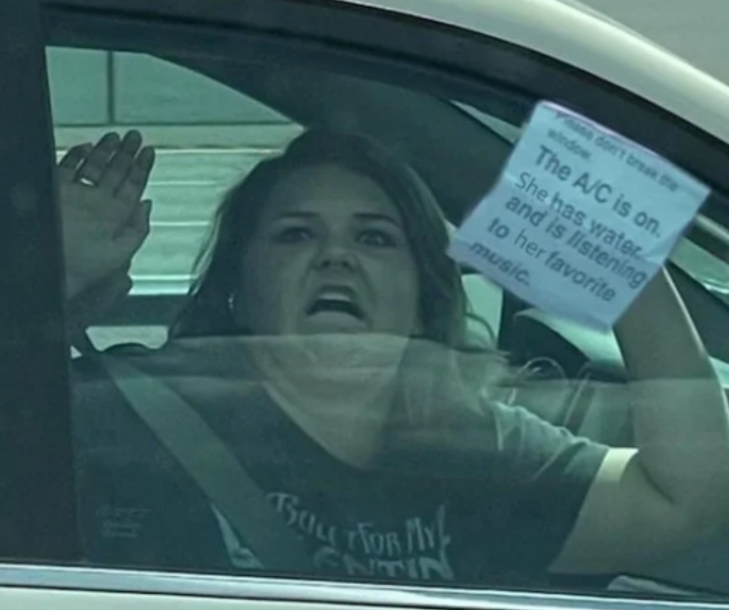Funny Photos 04-11-2022 #21