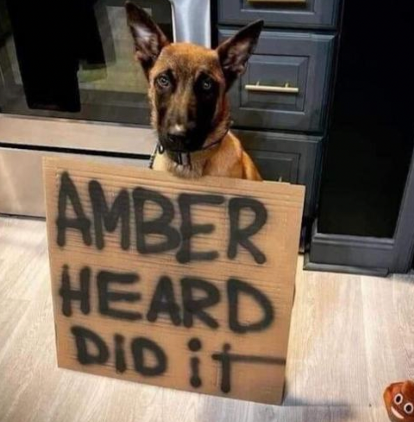Funny Photos 05-11-2022 #15