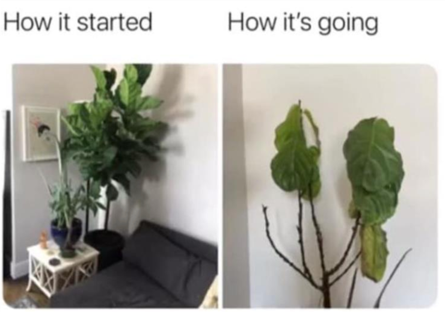 Funny Photos 05-12-2022 #20
