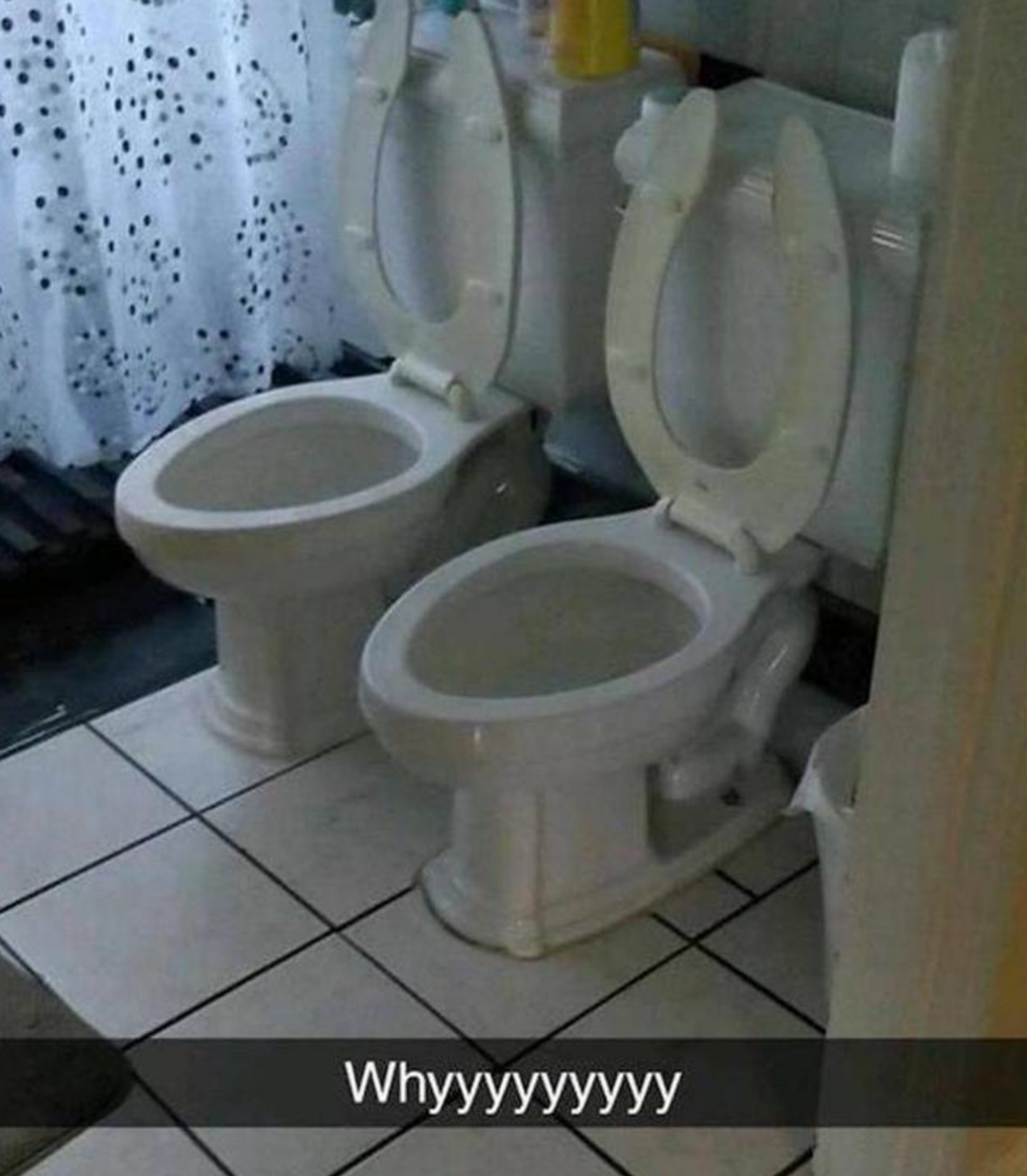 Funny Photos 05-13-2020 #14
