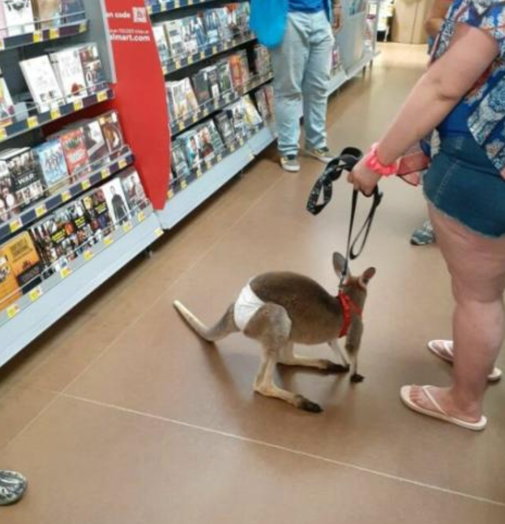 Funny Photos 05-13-2022 #6