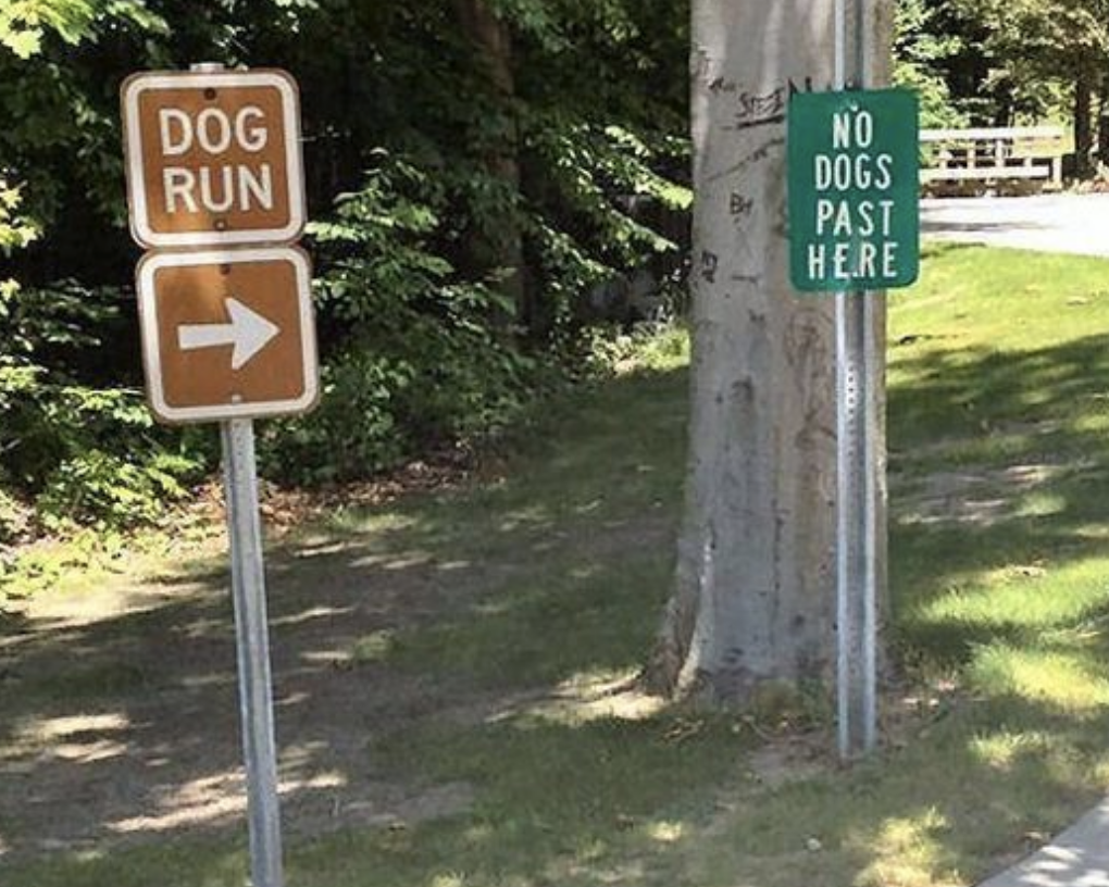 Funny Photos 05-25-2020 #19