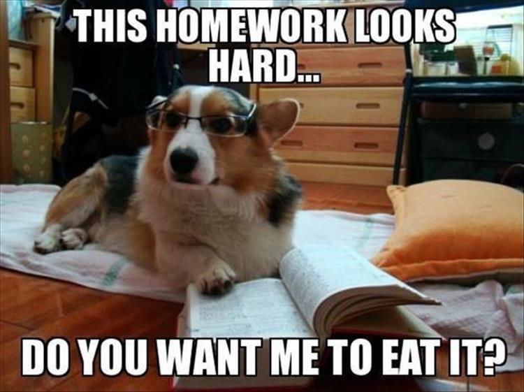 Funny Photos 05-25-2020 #1