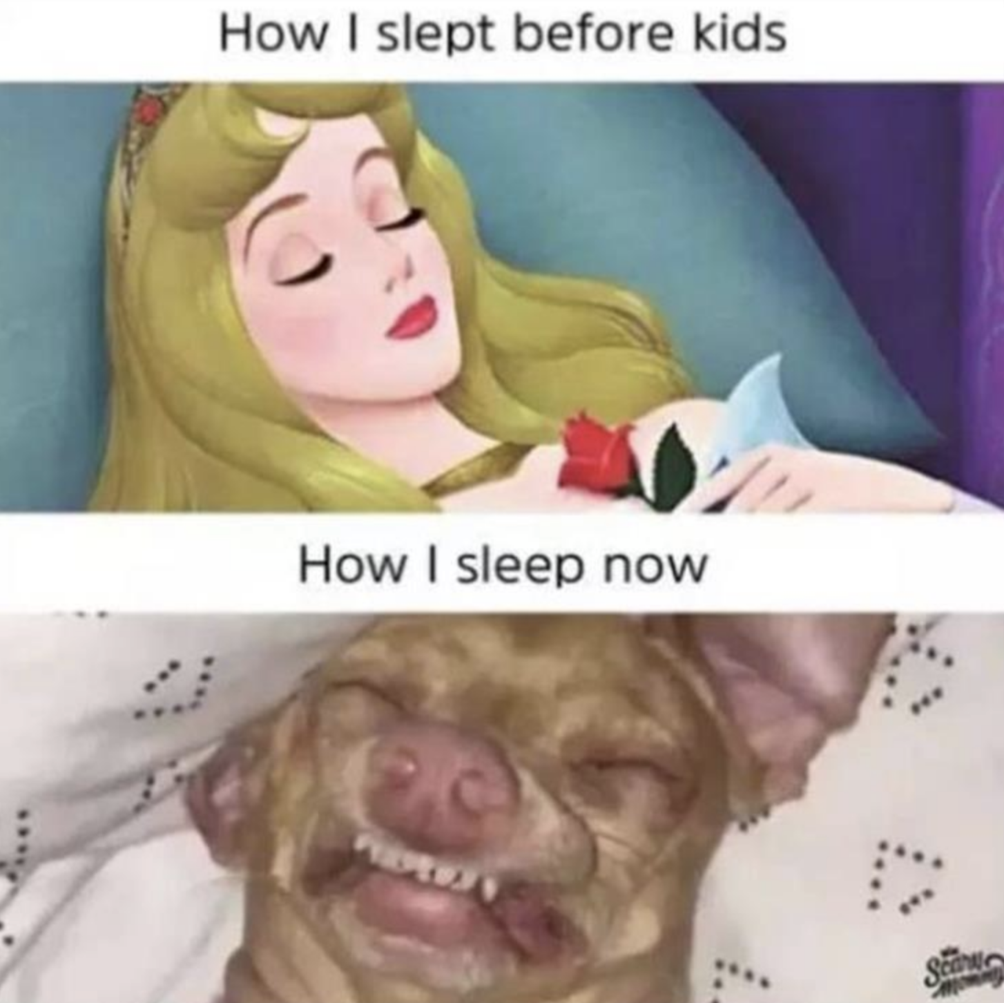 Funny Photos 05-27-2020 #14