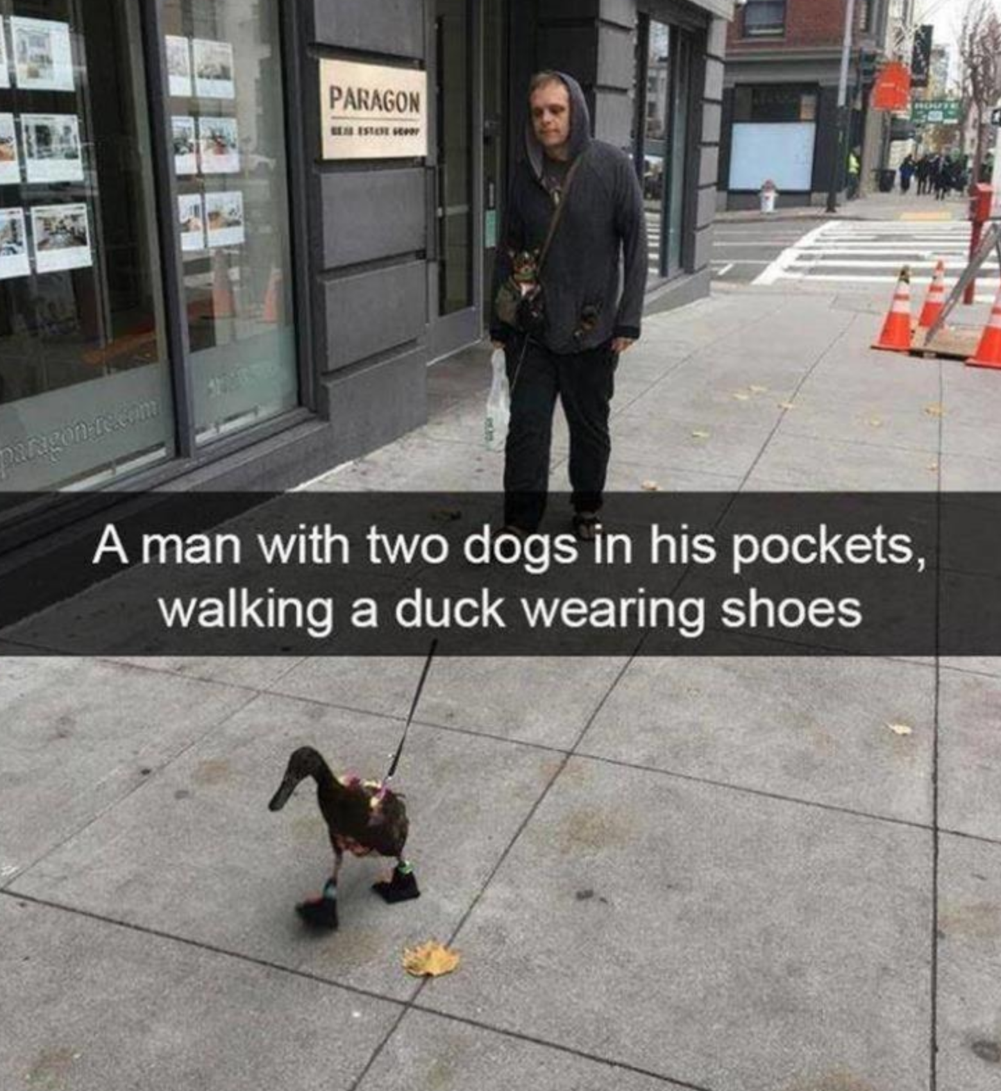 Funny Photos 06-02-2020 #6