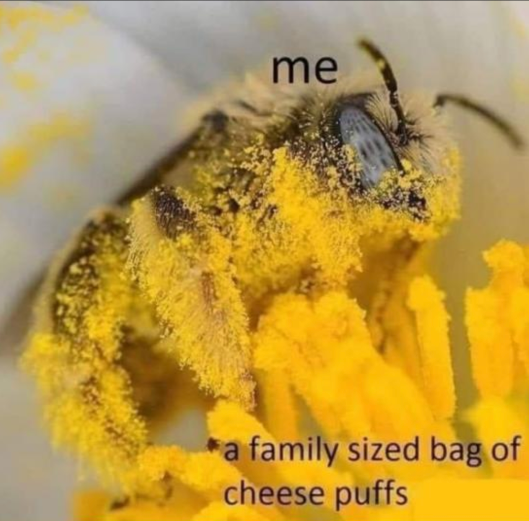 Funny Photos 06-08-2022 #6