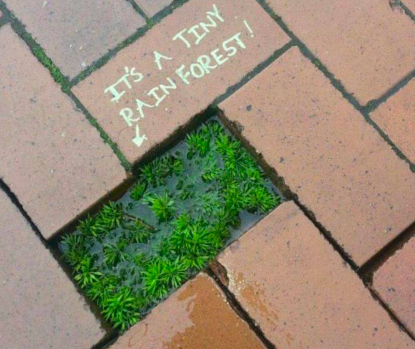 Funny Photos 06-17-2020 #12